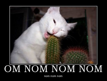 Om Nom Nom Nom