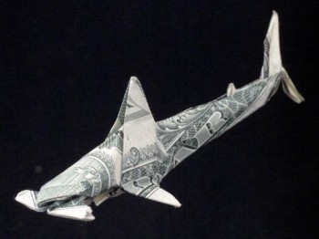 One Dollar Hammer head Shark