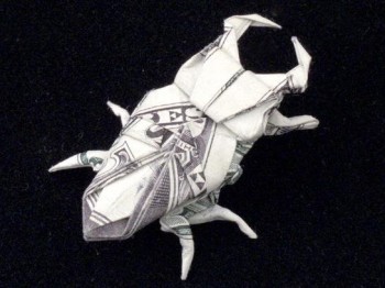One Dollar Stag Beetle