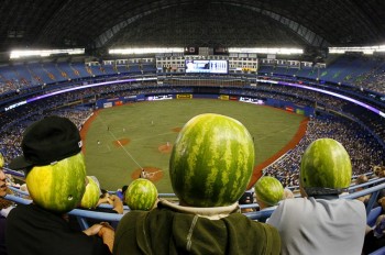 Watermelon Helmets
