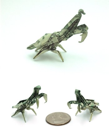 One Dollar Bill Mantis