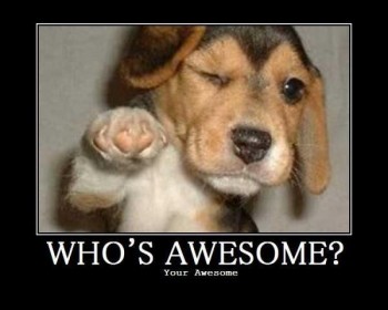 Who's Awesome?