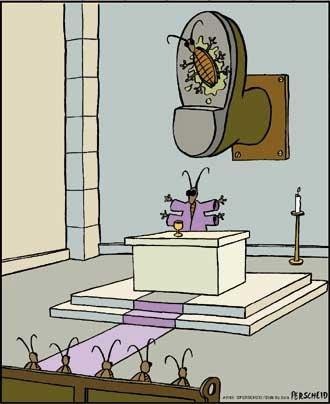 Jesus Bug