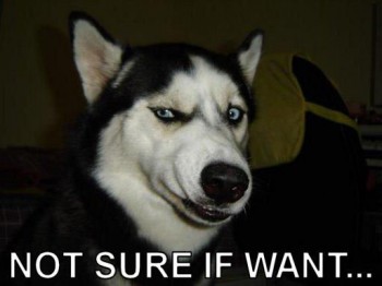Not Sure If Want