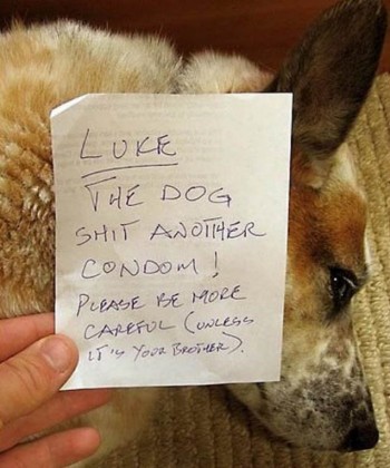 Please Be More Careful