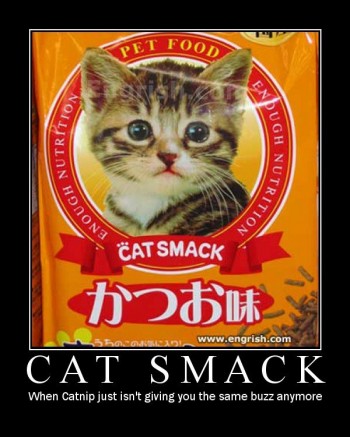 Cat Smack