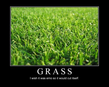 Grass
