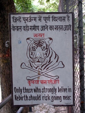 Tiger Rebirth Sign