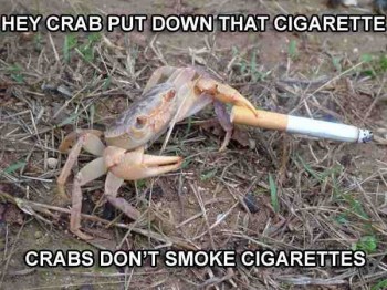 Put Down That Cigarette