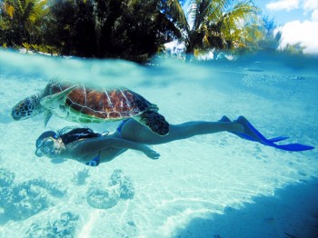 Bora Bora Village On The Water