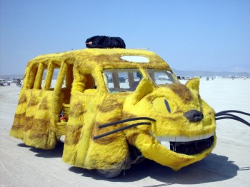 The Cat Car