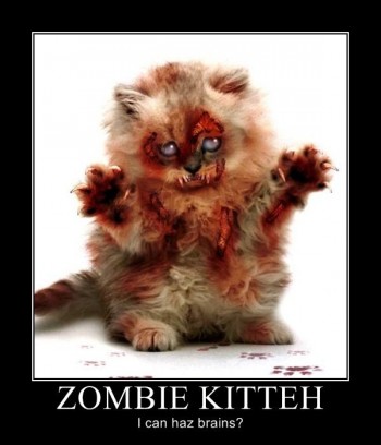 Zombie Kitteh