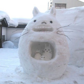 Snow Cat