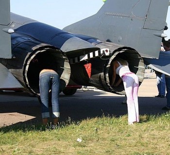 Three Perfect Asses