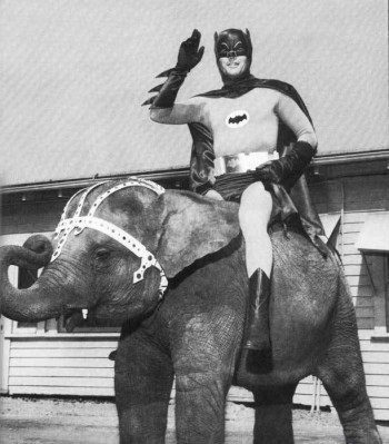 Batman On An Elephant