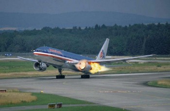 Bird Hits Engine