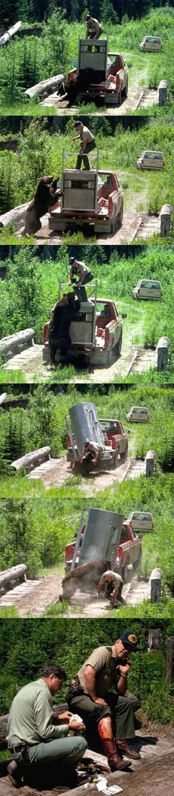 Failed Bear Trap