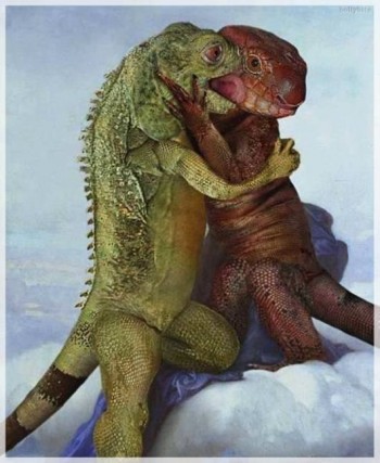 Lizard Love