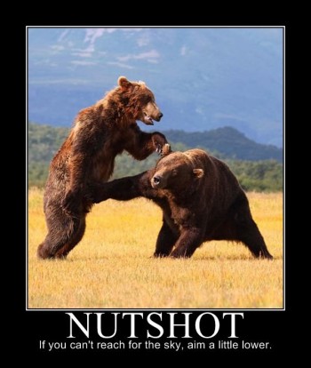 Nutshot