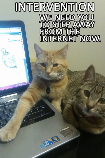 Intervention Cat