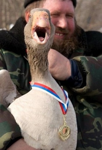 Give that duck a medal