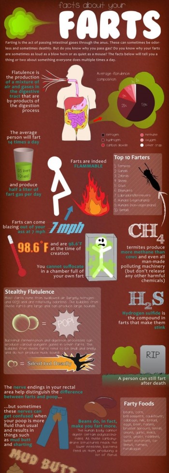 Facts About Farts