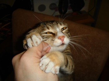 My Precioussss