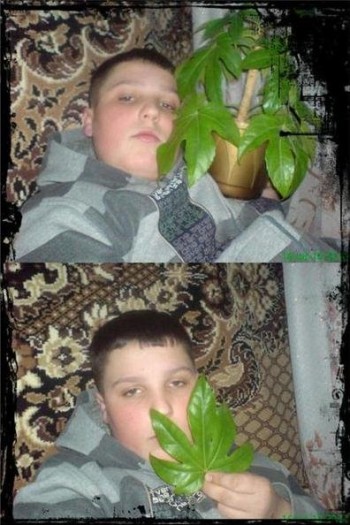 Getting High On House Plants