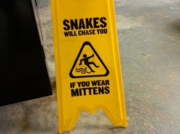 Snakes Will Chase You