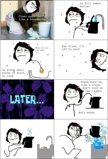 Fruit Flies