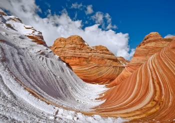 The Wave