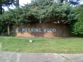 Morning Wood