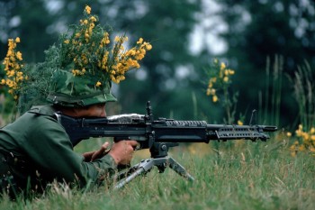 Killer Flowers