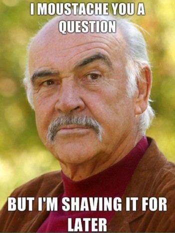 I Moustache You A Question