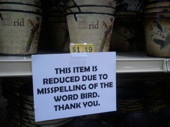 Brid Pot