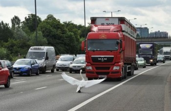You Shall Not Pass!