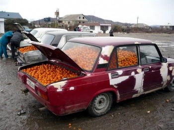 Needs More Orange
