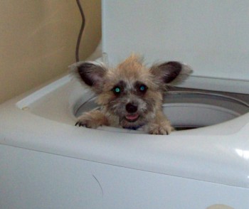 Bath nite