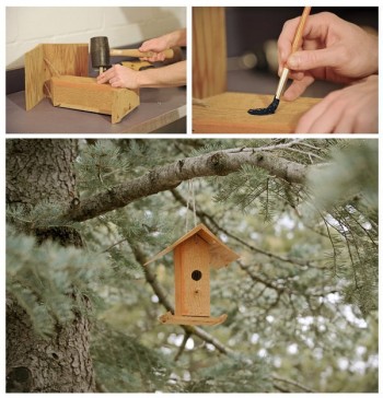 Trolling Birds
