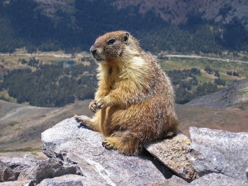 Just Chillin'
