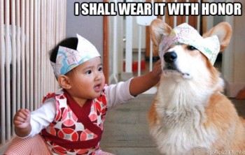 Honor Dog
