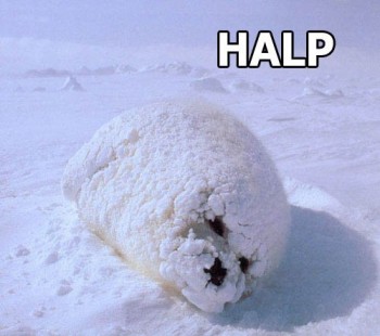 Halp
