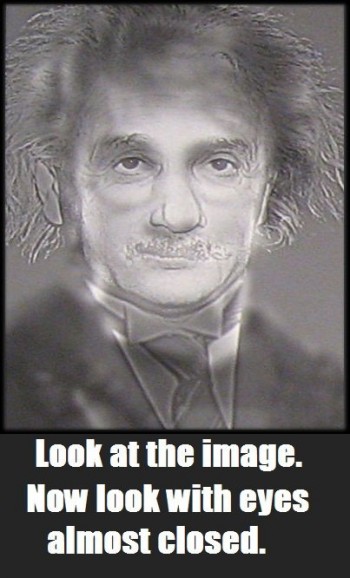 Einstein or Harry Potter?