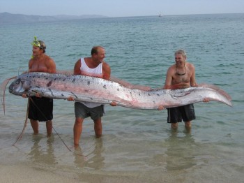 Maybe I Wont Go For A Swim After All...