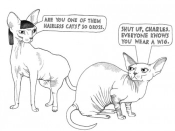 Hairless Cats