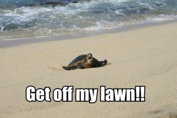 Get Off My Lawn!