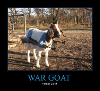 War Goat