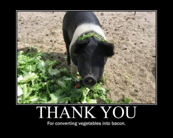 Turning Vegetables Into Bacon