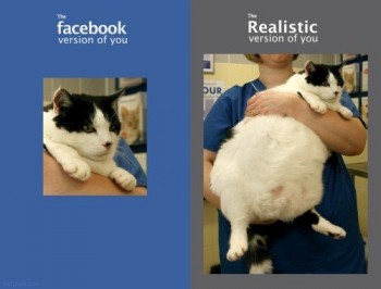 Facebook Pics Explained
