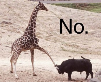 No